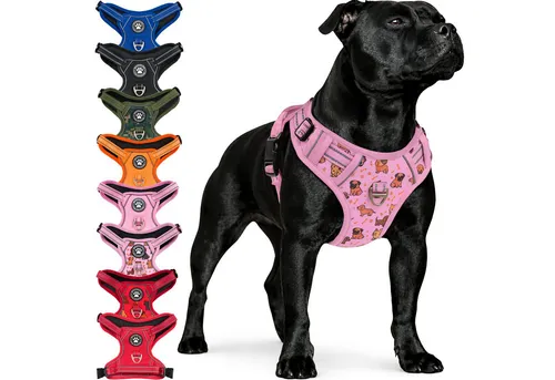 Reichstadt Hunde-Geschirr RS Pets Norwegergeschirr 25RSP083, Polyester, atmungsaktives Netzgewebe und robuster Oxford-Stoff