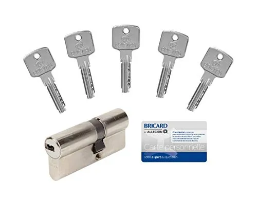 Bricard 15102 Zylinder A6 30+40 mit 5 Schlüsseln