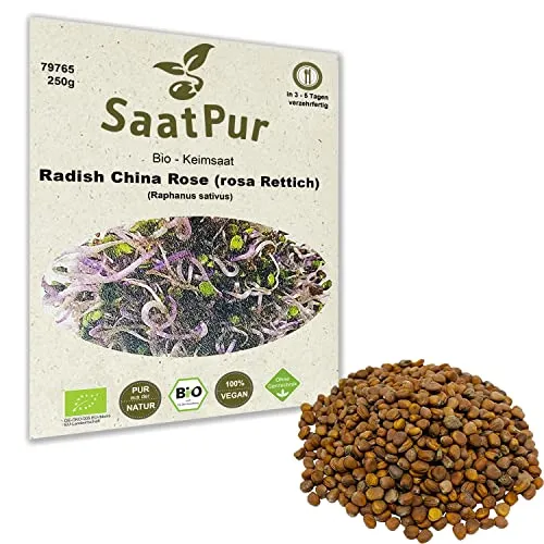 BIO Keimsprossen Radies China Rose Keimsaat für die Sprossenanzucht Sprossen Microgreen Mikrogrün 250 g