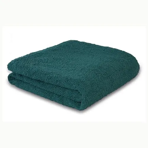 Biederlack Wohndecke Teddy - Kuschelige grüne Decke, 150x200 cm, OEKO-TEX zertifiziert und perfekt zum Einkuscheln