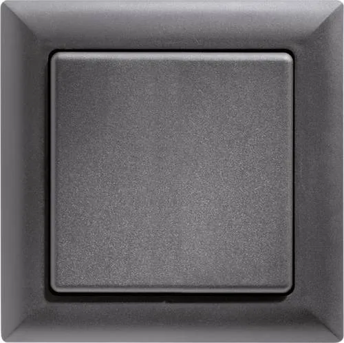 ELTAKO Funktaster FT55-an anthrazit von Eltako