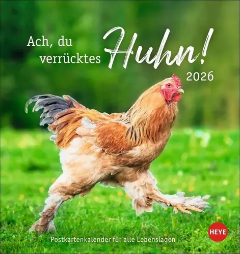 Hühner Postkartenkalender 2026 - Ach, du verrücktes Huhn! | Kalender | Deutsch