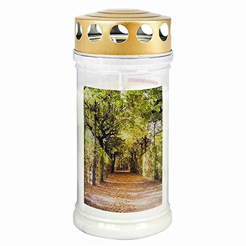 JEKA Gedenkkerze 17x7,5cm M5 BAUM-ALLEE, 4Tage, Unparfümiert