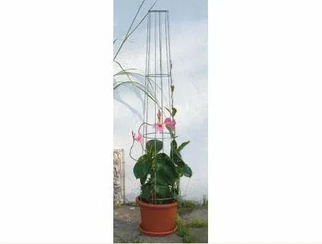 Produktbild Bellissa Ranksäule Aktion 130 cm hoch Spalier Rankhilfe Rankgitter