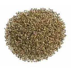 Hanfsamen ungeschält aus Deutschland - bio & roh (1kg)