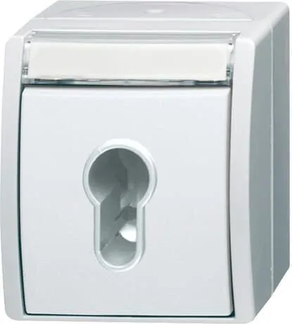 Busch-Jaeger 2733 SLW-54 Schlüsselschalter - Smart Home (Haussteuerungen) – 1-poliger Schlüsselschalter in Alpinweiß mit IP 44 Schutz, ideal für sicheres Schalten elektrischer Verbraucher.