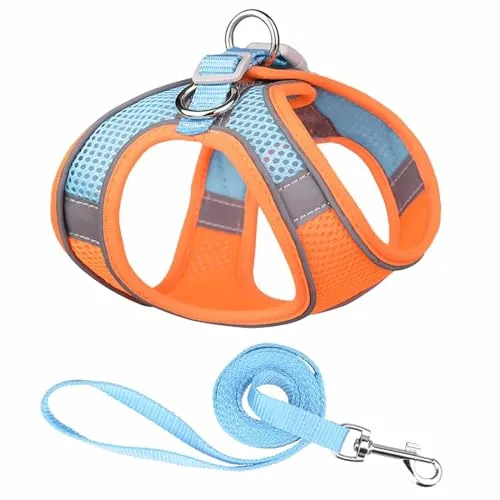 Monkimau Atmungsaktives Hundegeschirr mit Leine | Mesh und Nylon | Ideal für kleine Hunde und Katzen | Größe XXS bis L (Orange-Blau, XS)