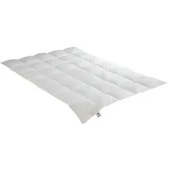Irisette Steppbett 100 % Wildseide