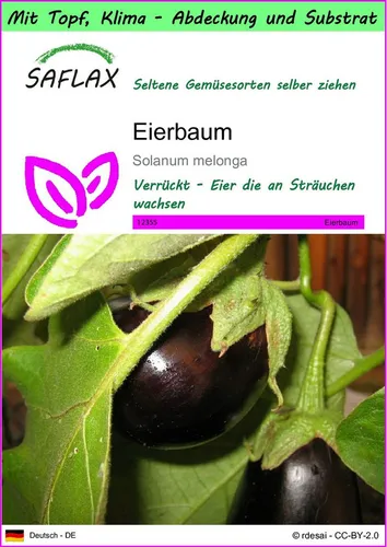 SAFLAX Gemüsesamen SAFLAX - Garden to go - Eierbaum