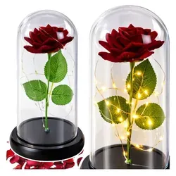 Ewige Rose Glaskuppel LED Rot 21 cm Deko Geschenk - Rot/Transparent