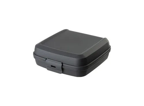 Engelland Lunchbox Brotdose mit Klickverschluss, Kunststoff (BPA-frei), (Vorteils-Set, 1-tlg., Ideal für Schule, Kindergarten und Arbeit), BPA frei, robuster Kunststoff, spülmaschinengeeignet