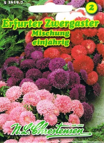 Erfurter Zwergaster-Mischung Callistephus chinensis Astern