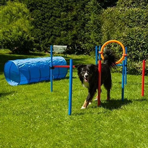 Dog Agility Set K2 - Agility-Ausrüstung für Hunde, ideal für Training und Spaß mit 1 Tunnel, 4 Slalomstangen, 1 Hürde und 1 Sprungring.