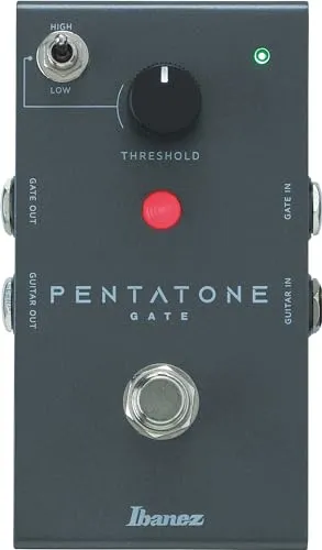 The Pentatone Gate - Noise-Gate mit schneller Reaktion und natürlichem Sustain, ideal für präzise Klangkontrolle und Rauschunterdrückung in Studioumgebungen.