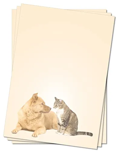 Motivpapier Briefpapier (Tiere-5076, DIN A4 25 Blatt) Hund und Katze schauen sich an