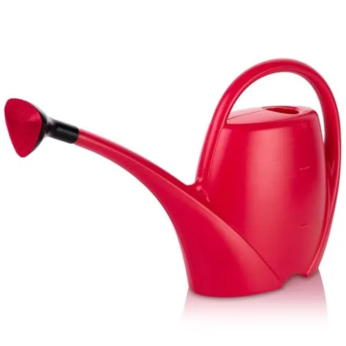 Gießkanne klein mit Brause für den Zimmerpflanzen 2,5 L - Blumengießkanne aus Hochwertigem Kunststoff - Giesskanne für Innen- und Außenbereich - Ideal für Zimmerpflanzen, Viva Magenta