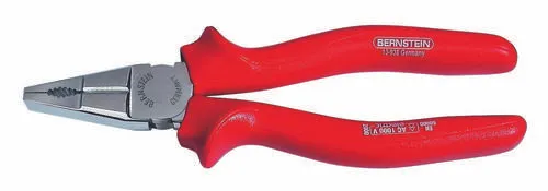 BERNSTEIN Zangen von BERNSTEIN