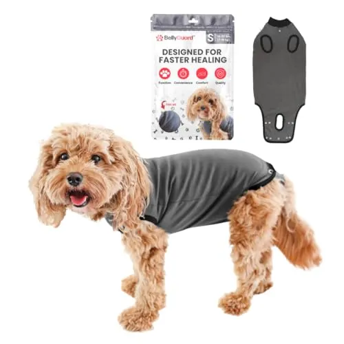 BellyGuard Hunde-Body nach OP für Hündinnen und Rüden