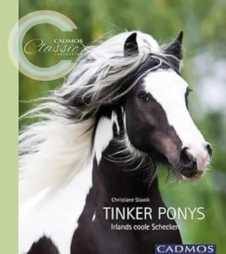 Produktbild Tinker Ponys: Irlands coole Schecken