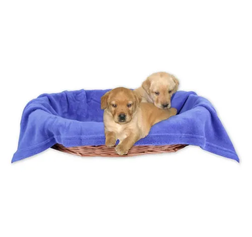 Bestlivings Tierdecke Hundedecke / Katzendecke, Kuscheldecke für Haustiere, Schlafplatz/-decke, versch. Variationen