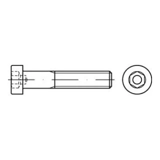 Zylinderschraube DIN 6912 M5 x 6mm, verzinkt - Hochwertige Zylinderschraube mit Innensechskant aus Stahl Güte 8.8, ideal für präzise Anwendungen in der Industrie und im Handwerk.