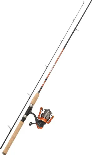 Abu Garcia Revolution Ruten und Rollen Combo Set