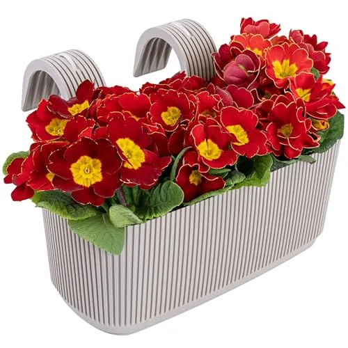 Konzept 11 Balkon Blumenkasten mit Halterung – 29 x 19 cm, Balkonkasten für Geländer, 3,2 L aus wetterfestem Kunststoff