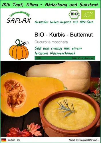 SAFLAX Gemüsesamen SAFLAX - Garden to go - BIO - Kürbis - Butternut