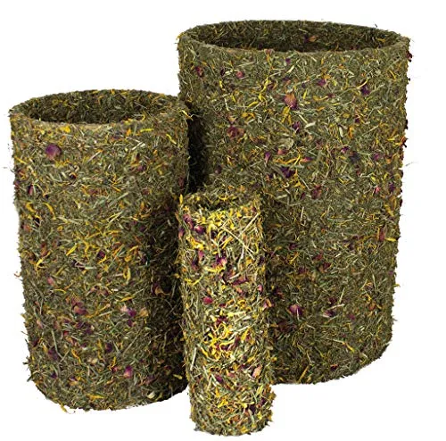 JR FARM Frühlings-Rolle mittel 380 g