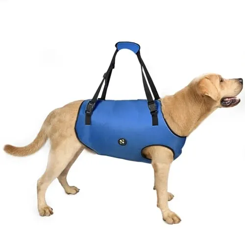 COODEO Hundeliftgeschirr, Haustierunterstützung & Rehabilitation Sling Lift Verstellbare Gepolsterte atmungsaktive Gurte für Alt, Gelenkverletzungen, Arthritis, Stabilitätsverlust Hunde(Blau, S)