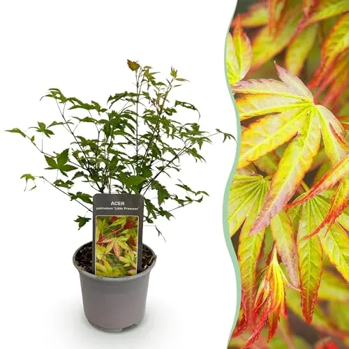 GreenboutiQ