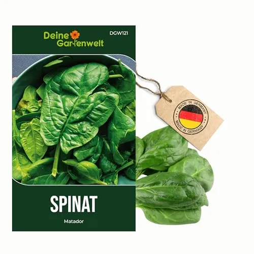 Spinat Matador Samen - Spinacia oleracea - Spinatsamen - Gemüsesamen - Saatgut für 250 Pflanzen