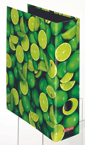 herlitz Motivordner Rückenbreite 8 cm DIN A4 Karton Motiv 300002464