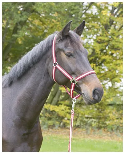 Kerbl Nylonhalfter Hippo, Halfter Nylon Shetty, Bordeaux/Beige