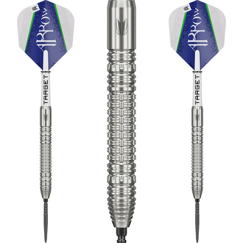 Target Steeldarts SWISS Point Shane McGuirk The Arrow GEN 1 90% Tungsten 🎯🔥✅