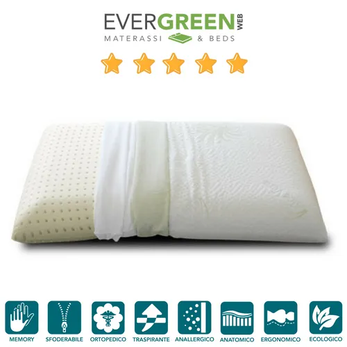 Orthop?disch Visco Kissen aus 100% Viscoschaum und Kissenbezug Aloe 42x72 cm h12
