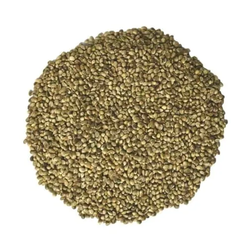 Hanfsaat 10kg für Vögel, Nager und Pferde - Pferdefutter mit hohem Fett- und Vitamingehalt, ideal für eine ausgewogene Ernährung von Vögeln, Nagetieren und Pferden. Fördert gesundes Wachstum und Vitalität!