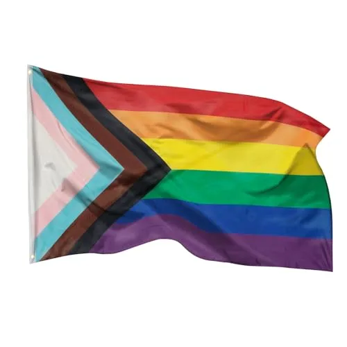 PHENO FLAGS Progress Flagge 90x150cm - wetterbeständige Pride Fahne mit Messingösen, 100% Polyester, robuste Doppelnaht & in lebendigen Farben - ideal für Flaggen-Liebhaber