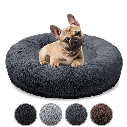 bluzelle Orthopädisches Hundebett für Mittelgroße Hunde, 70cm Donut Kissen - Hundebetten für optimale Gelenkunterstützung mit waschbarem Bezug und rutschfester Unterseite für sicheren Komfort. Ideal für erholsamen Schlaf und maximale Gemütlichkeit.