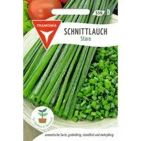 FRANKONIA Schnittlauch Staro