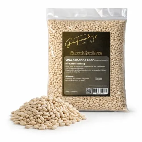Produktbild Gelbe Buschbohne (Wachs), fadenlose, Inhalt 500g, Gemüsesamen für eine resistente Bohne mit bis zu 14 cm langen Hülsen (500g)