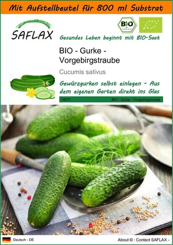 SAFLAX Gemüsesamen SAFLAX - Garden in the bag - BIO - Gurke - Vorgebirgstraube