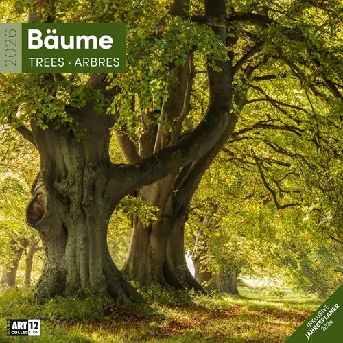 Bäume Broschürenkalender 2026
