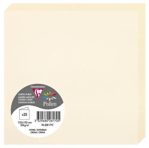 Clairefontaine 2817C in beige von Pollen by Clairefontaine