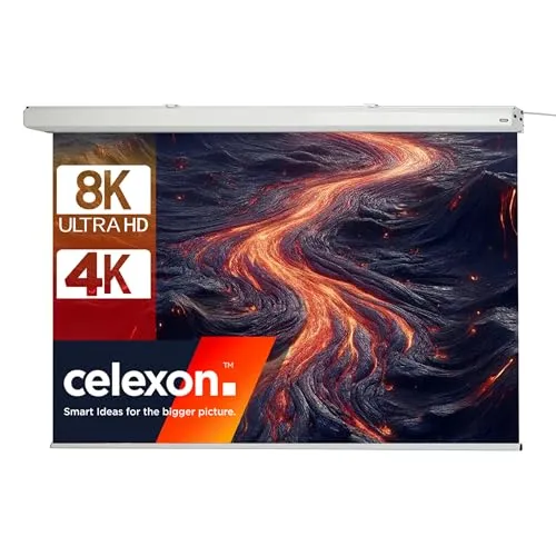 celexon Expert Motor-Leinwand 100