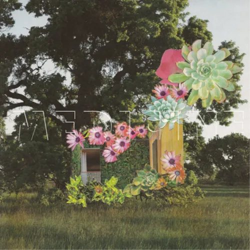 Medicine Home Everywhere (Vinyl) 12