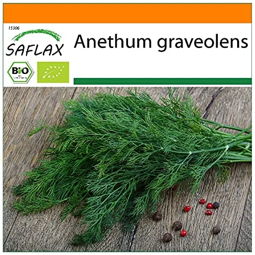 SAFLAX - BIO - Dill - 700 Samen - Anethum graveolens