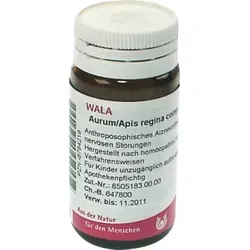 Aurum/Apis Regina Comp 20 G - Globuli zur Unterstützung der Pflege, ideal für Erwachsene und Kinder ab 6 Jahren, mit geprüfter Qualität und sorgfältig ausgewählten Inhaltsstoffen.