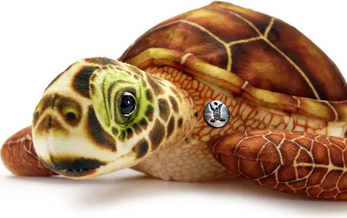 Schildkröte Kuscheltier Turtle Plüschtier Wasserschildkröte BROWNY