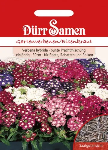 Dürr Samen 0740 Gartenverbenen (Gartenverbenensamen)